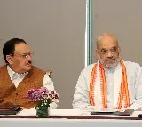 BJP to flag off New Year with 'Lok Sabha Yojana' brainstorming across country