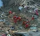Death toll in China earthquake rises to 151