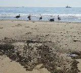 Massive waves continue pounding California coast