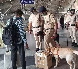 Caller threatens serial blasts in Mumbai amid New Year celebrations