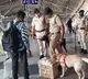 Caller threatens serial blasts in Mumbai amid New Year celebrations