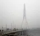 Delhi welcomes 2024 with shallow fog, 'very poor' air