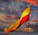Miscreants torch Kannada flag during New Year’s Eve celebration, tension in K'taka dist