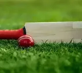 Umpires thrown out of the ground in APL match