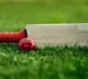 Umpires thrown out of the ground in APL match