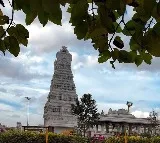 Maha dwara darshan at Chilkur Balaji Temple today