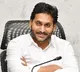 New Year celebrations at CM Jagan camp office in Tadepalli