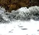 Tsunami alert issued for several regions in Russia's Far East