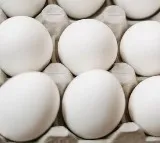 Chicken eggs price rise in Telangana
