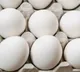 Chicken eggs price rise in Telangana