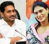 YS Sharmila to meet Jagan today
