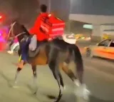 Zomato Agent Delivers Food On Horse Amid Long Queues At Petrol Pumps