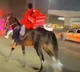 Zomato Agent Delivers Food On Horse Amid Long Queues At Petrol Pumps