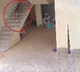 Leopard Enters House In Narsinghapur Village Haryana