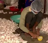 Cardamom prasad to devotees of Ayodhya Rama