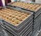 TTD will send one lakh laddus for Ayodhya Ram Mandir
