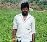 Chilli leaves a bad taste as losses mount for cultivators in Andhra Pradesh's Bandur