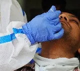 India reports 774 new Covid cases, 2 deaths