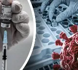 Scientists find compound to fight against Covid infection