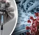 Scientists find compound to fight against Covid infection