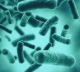 Scientists find 35 previously unknown species of bacteria