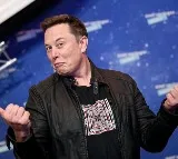 Elon Musk Reaction After Facing Drugs Allegations