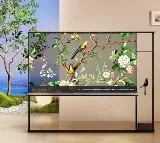 LG reveals Wireless Transparent OLED Television