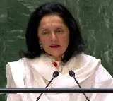 India reiterates 'zero tolerance' for terrorism; says 'large-scale civilian deaths' in Gaza conflict unacceptable