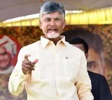 Chandrababu gets anticipatory bail in three cases
