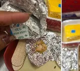 Woman passenger finds chicken pieces in veg meal in Air India flight