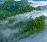 Archaeologists found Ancient City in great Amazon forest