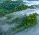 Archaeologists found Ancient City in great Amazon forest