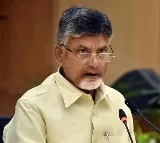 TDP Chief Chandrababu Wishes Telugu People Happy Sankranti