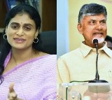 YS Sharmila to meet Chandrababu