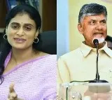 YS Sharmila went to Chandrababu residence