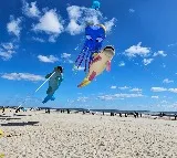 Jupalli Krishna Rao says 15 lakh people may come to kite fest