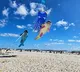 Jupalli Krishna Rao says 15 lakh people may come to kite fest
