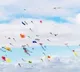 TSSPDCL suggestion to kite flyiers