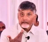 Skill Development scam: SC to deliver verdict on Chandrababu Naidu's plea on Tuesday
