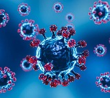 JN.1 variant to soon become dominant strain in China: Health officials