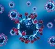 JN.1 variant to soon become dominant strain in China: Health officials