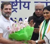 Sharmila appointed Andhra Pradesh Congress president