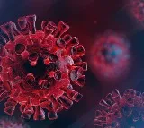 SARS-CoV-2 can infect dopamine neurons, cause long Covid symptoms: Study