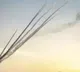Pakistans retaliatory attacks in Iran and Missile attacks on seven bases