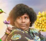 Good Luck Ganesha Review