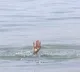 Man drown wife in sea and tries to portray it as accident