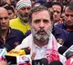 Assam CM's resignation sought over attack on Rahul's Bharat Jodo Nyay Yatra