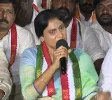 Sharmila staged dharna after Rahul Gandhi has been denied to enter a temple in Assam