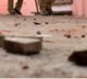 Stone pelting on youths celebrating 'Pran Pratishtha' in K’taka city, security beefed up