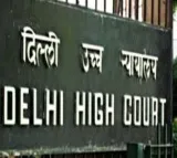 Delhi HC recalls order allowing widow to terminate pregnancy over 'mental health' concerns